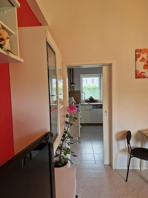 Ferienwohnung Bayernbrise Rohrdorf  Extérieur photo